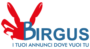 Logo Birgus