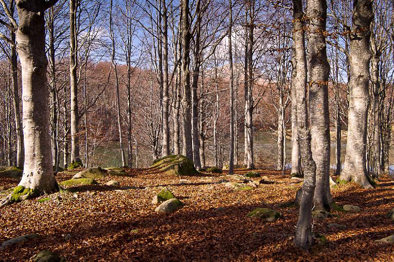 Baita Giarola di Ligonchio RE  - foto 6