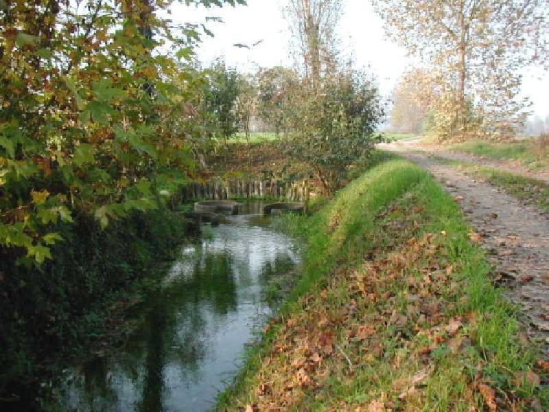 Terreno agricolo, Capralba