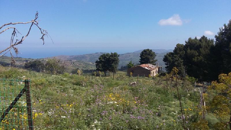 Rustico C/da Comune  - foto 2