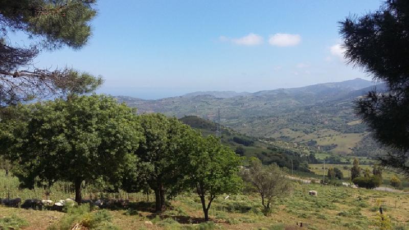 Rustico C/da Comune  - foto 5