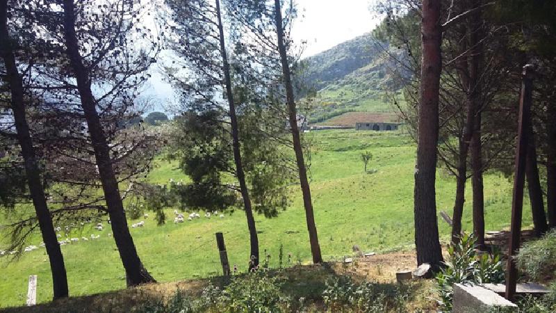Rustico C/da Comune  - foto 6