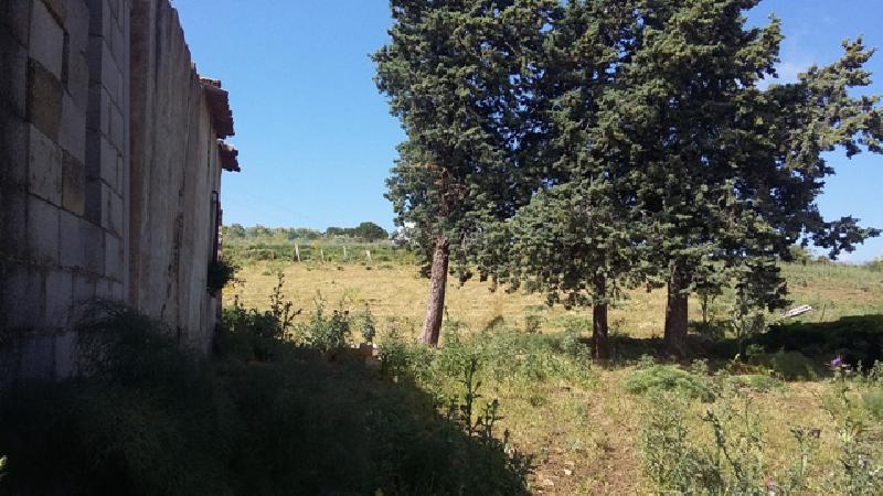 Rustico C/da Comune  - foto 7