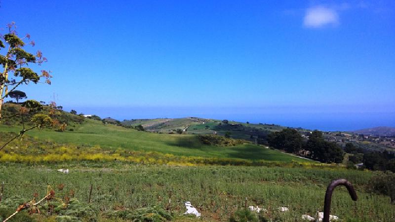 Rustico C/da Comune  - foto 9