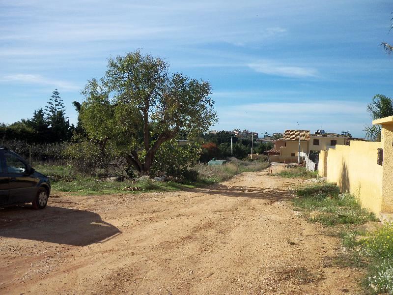 Terreno agricolo  - foto 2