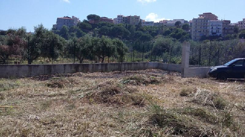 Terreno agricolo C/da Olivazza  - foto 5