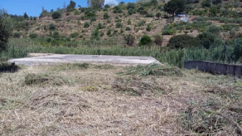 Terreno agricolo C/da Olivazza  - foto 6