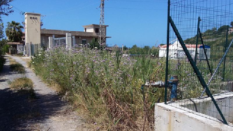 Terreno agricolo C/da Olivazza  - foto 3