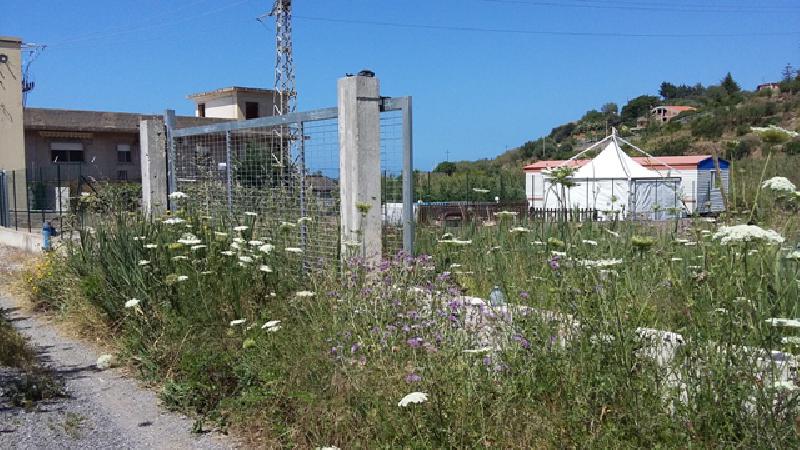 Terreno agricolo C/da Olivazza  - foto 4