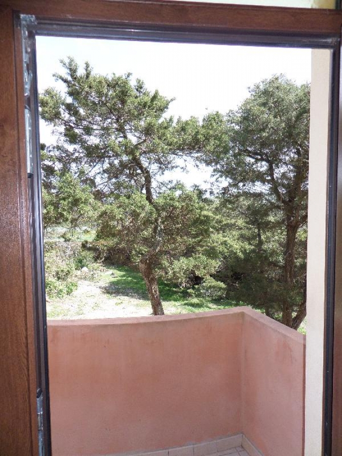 Villa strada vicinale lampianu villaggio nurra  - foto 10