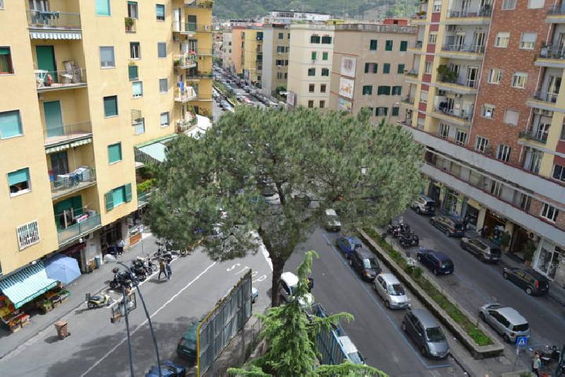 Appartamento via lepanto, 84  - foto 2
