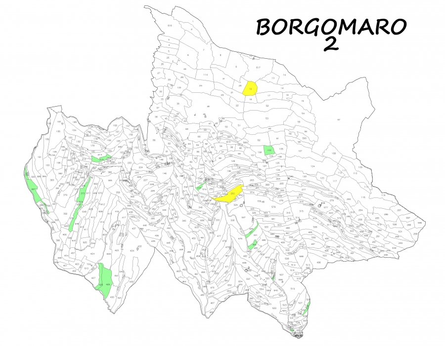 Terreno agricolo  - foto 5