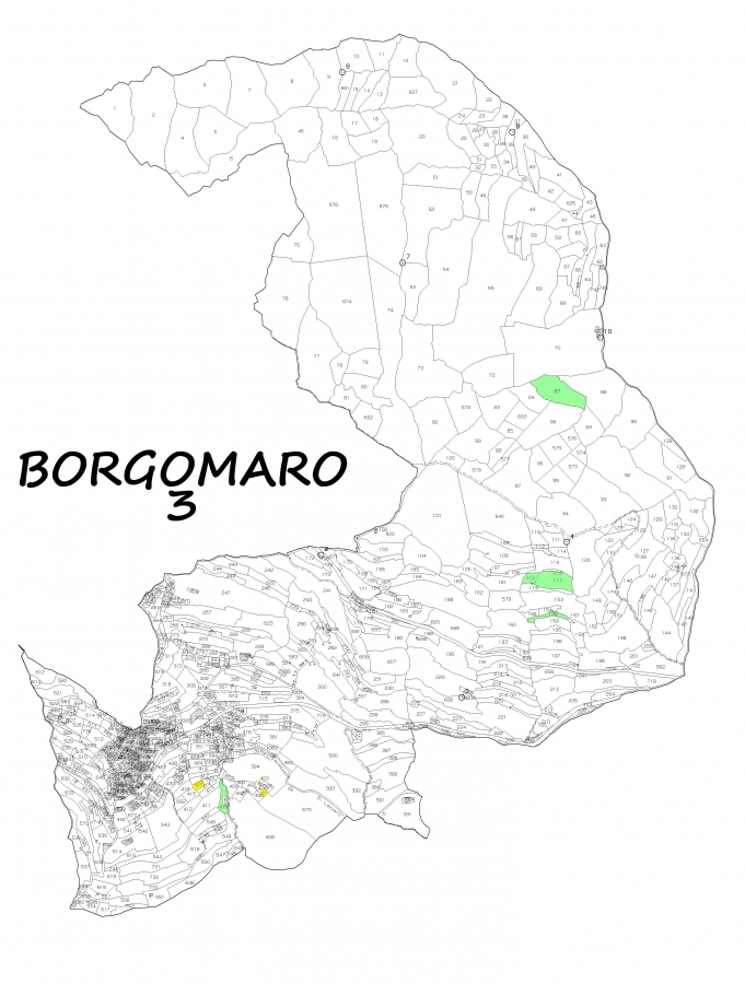 Terreno agricolo  - foto 6