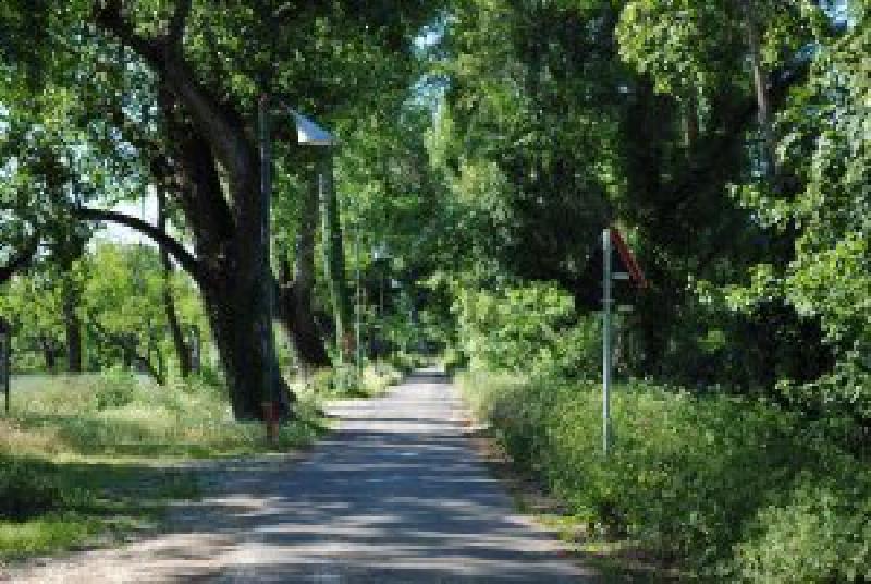 Appartamento Via Cascina Mulino Bruciato  - foto 9