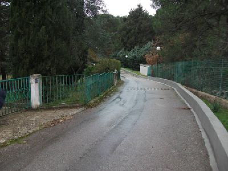 Villa viale Mercadante  - foto 3