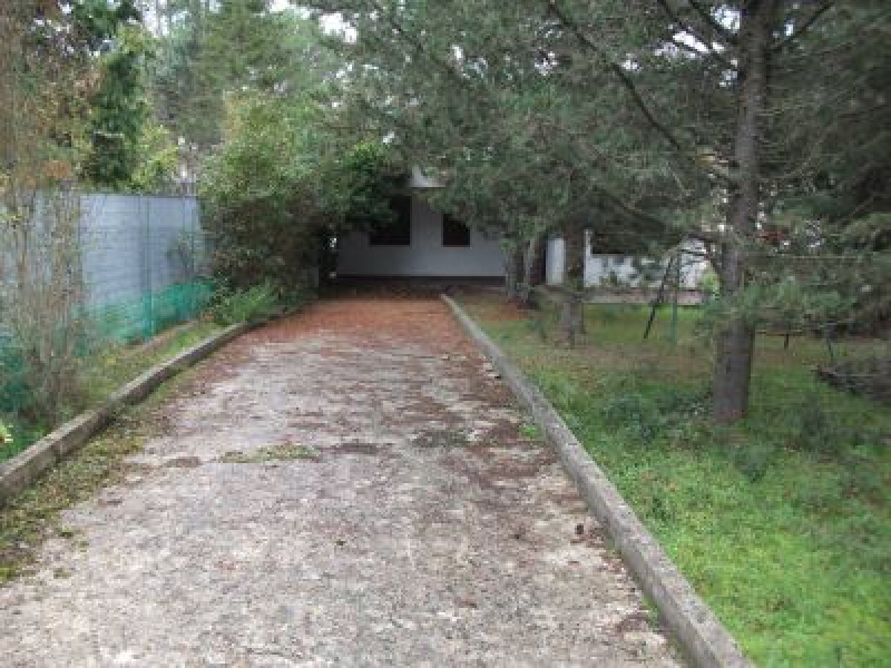 Villa viale Mercadante  - foto 4