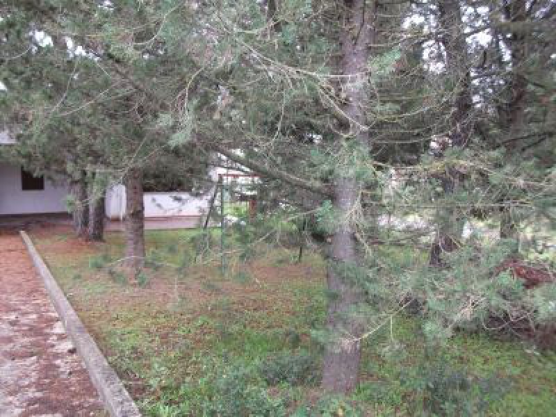 Villa viale Mercadante  - foto 5