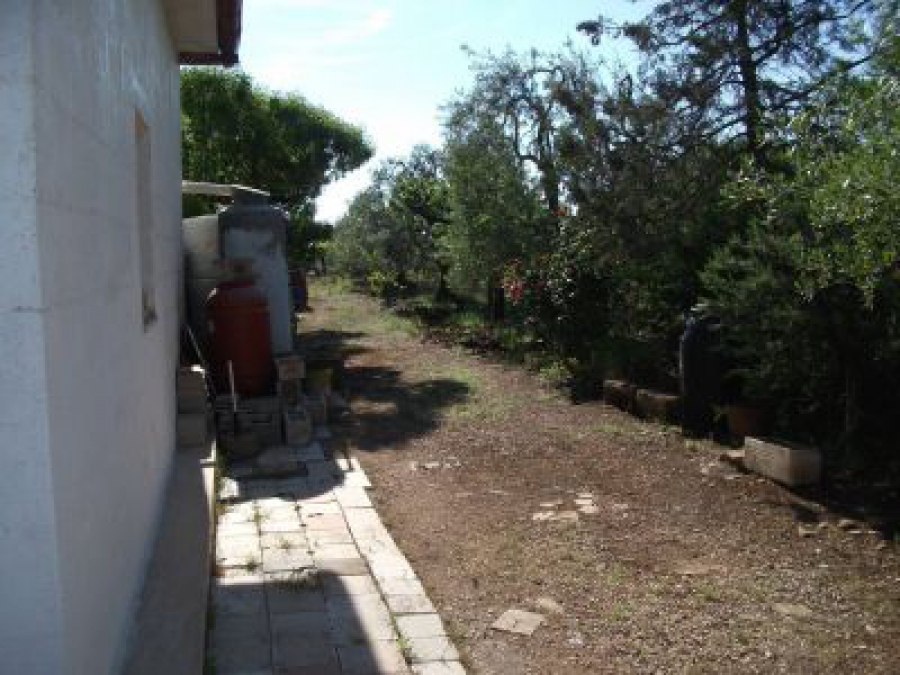 Villa  - foto 11