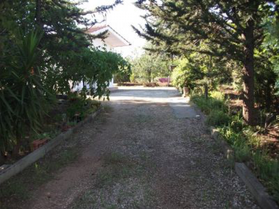 Villa  - foto 3