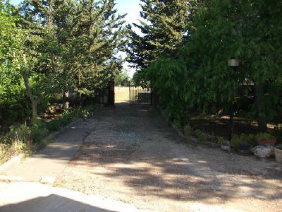 Villa  - foto 7