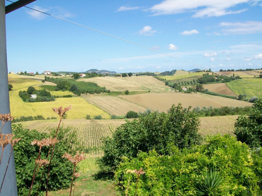 Rustico  - foto 7