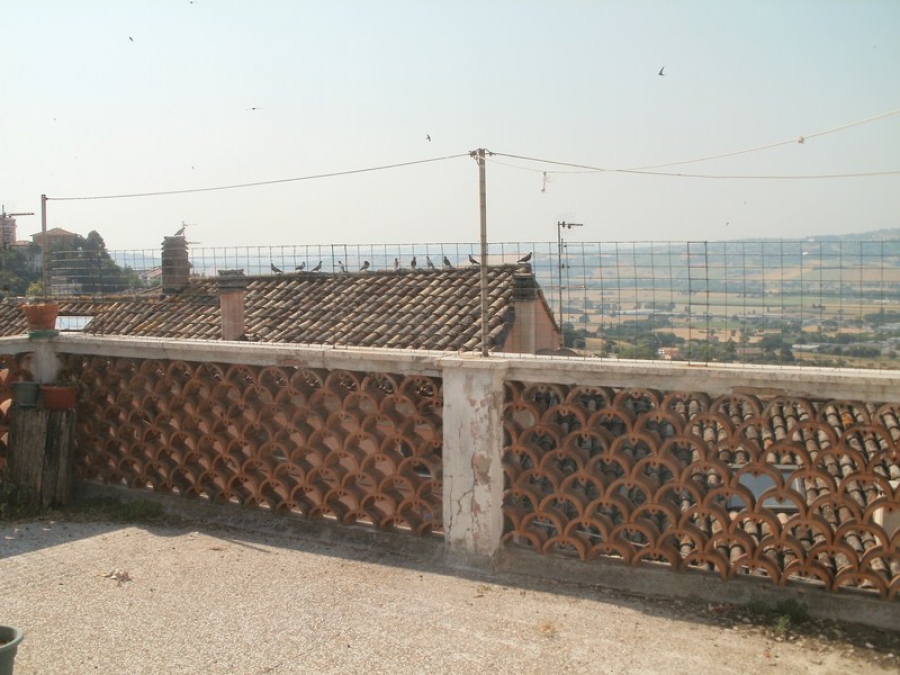Casa singola  - foto 3
