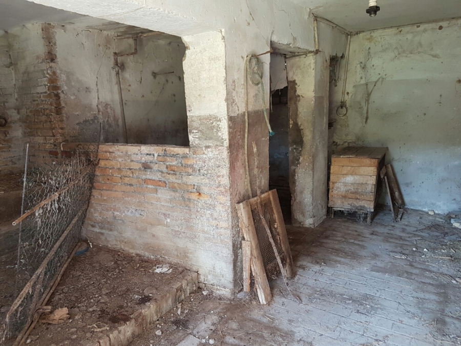 Rustico  - foto 4