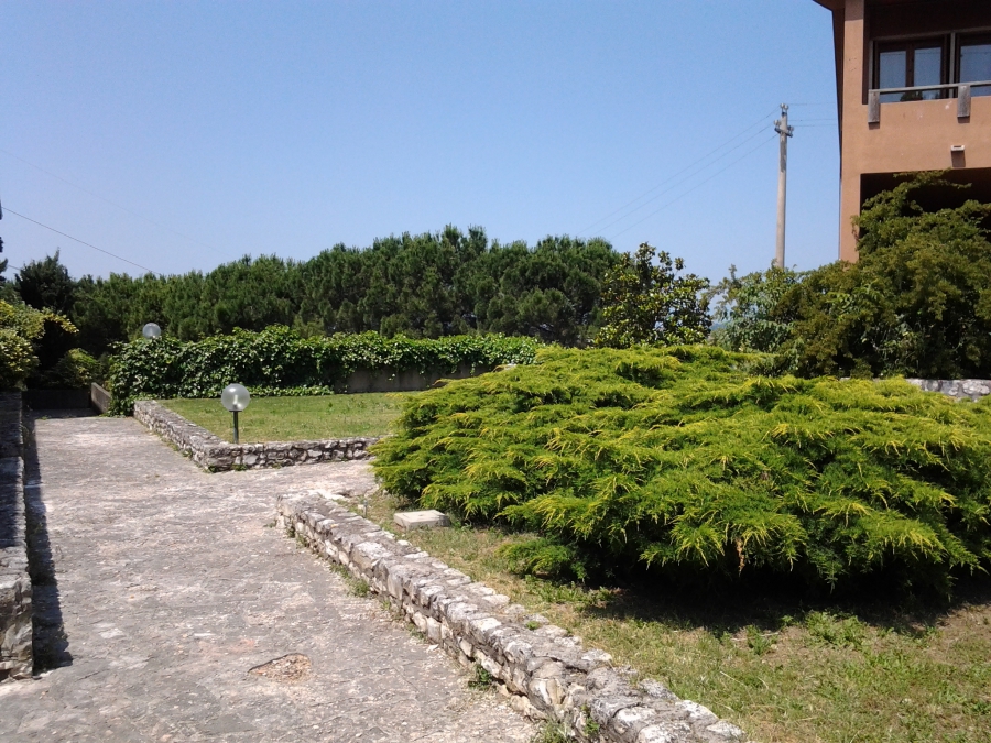 Appartamento  - foto 7
