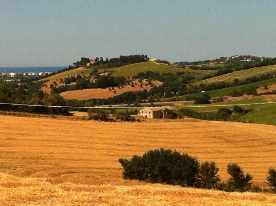 Casale VIA MONTANINA  - foto 3