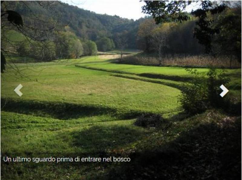 Terreno agricolo via celana vecchia  - foto 5