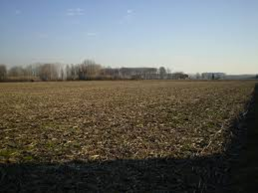 Terreno agricolo via tonale  - foto 2