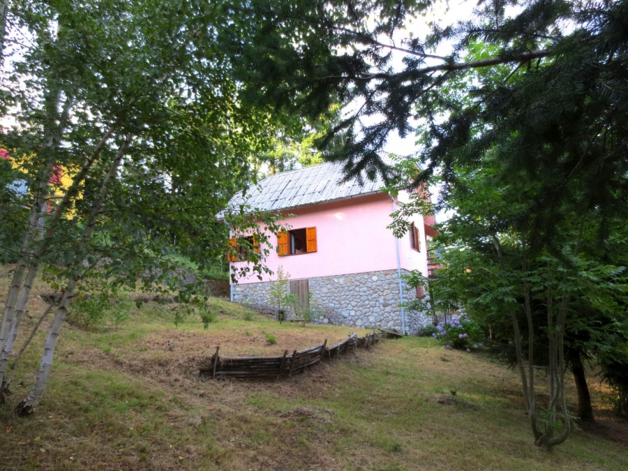 Casa singola via pineta 6  - foto 14