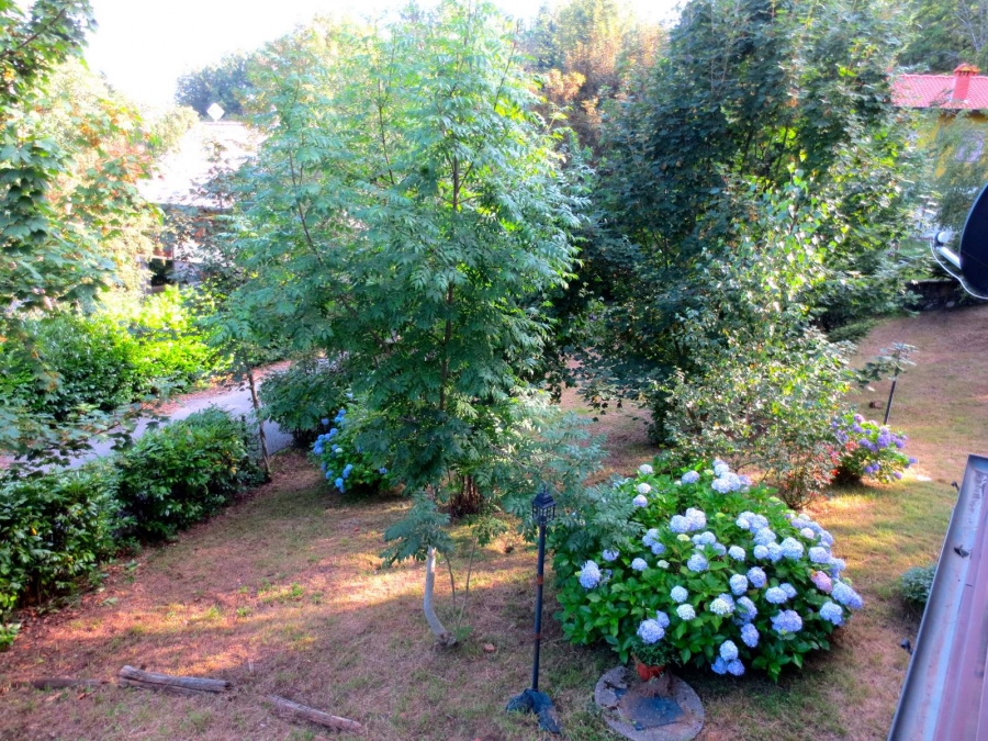 Casa singola via pineta 6  - foto 4