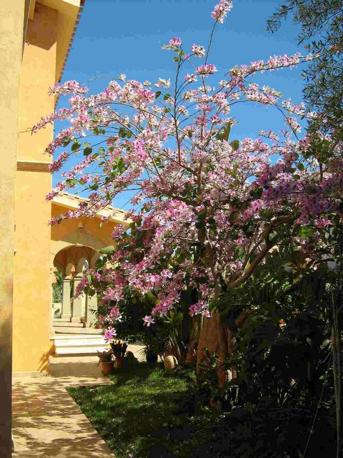 Appartamento via escrivà  - foto 11