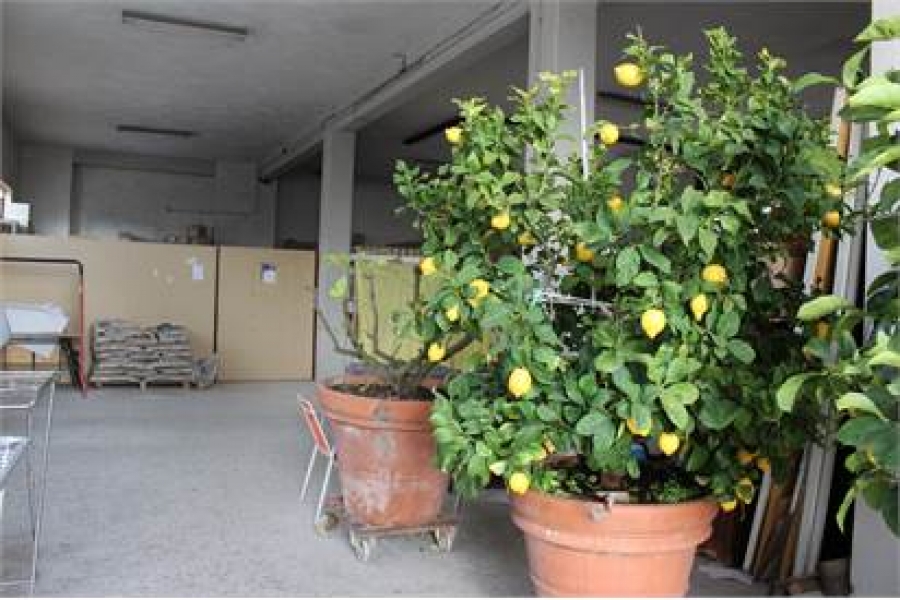 Casa singola  - foto 11