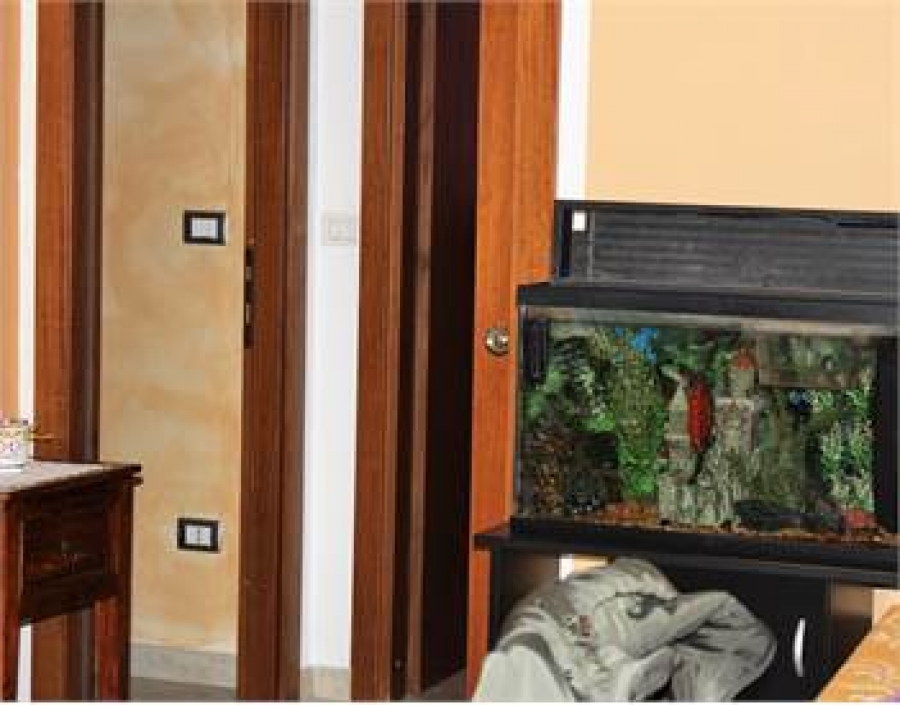 Casa singola  - foto 5