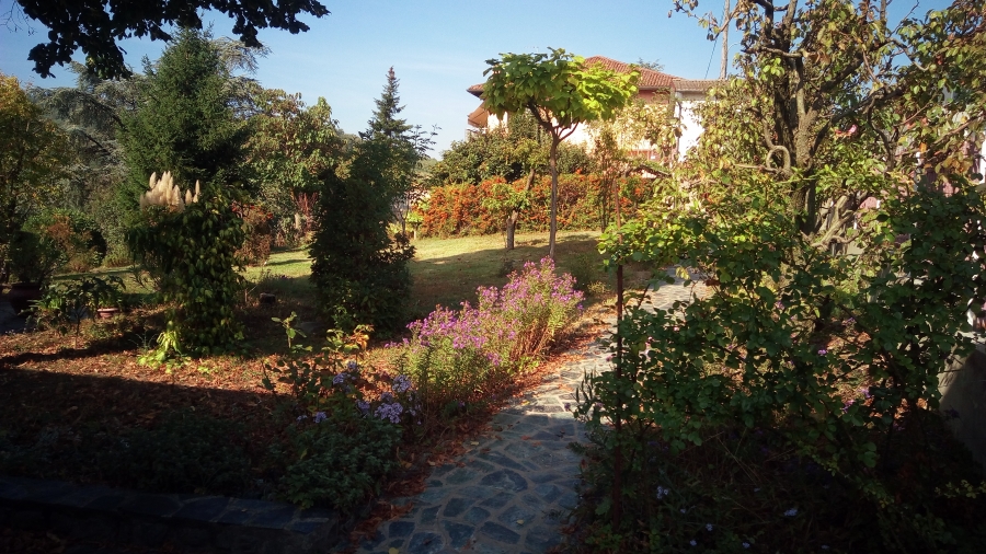 Villa via serra  - foto 4