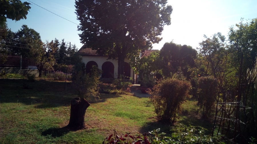Villa via serra  - foto 6
