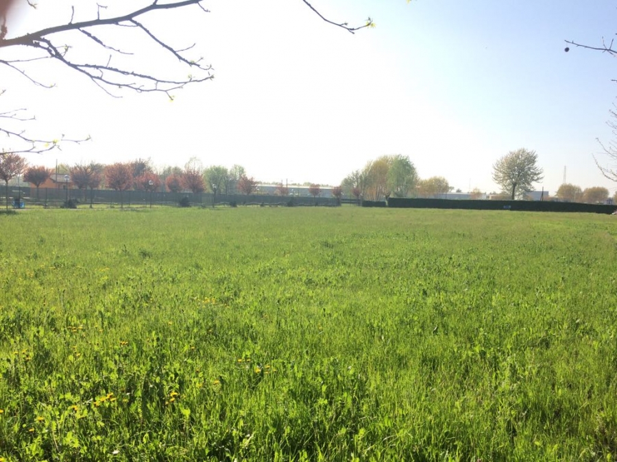Terreno agricolo via Martelli n° 2, Casalmaggiore