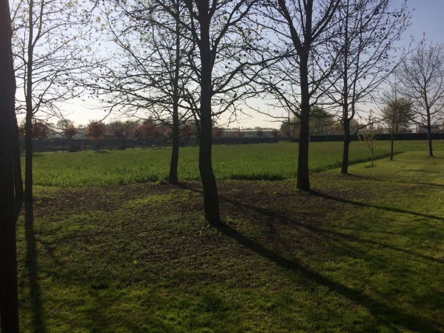 Terreno agricolo via Martelli n° 2  - foto 2