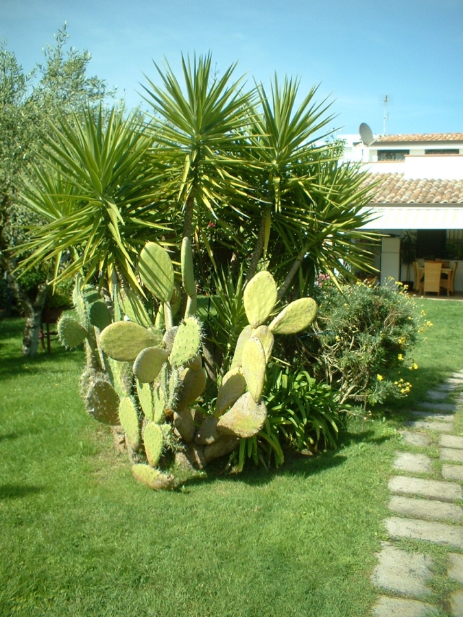 Villa bifamiliare pressi aeroporto  - foto 4