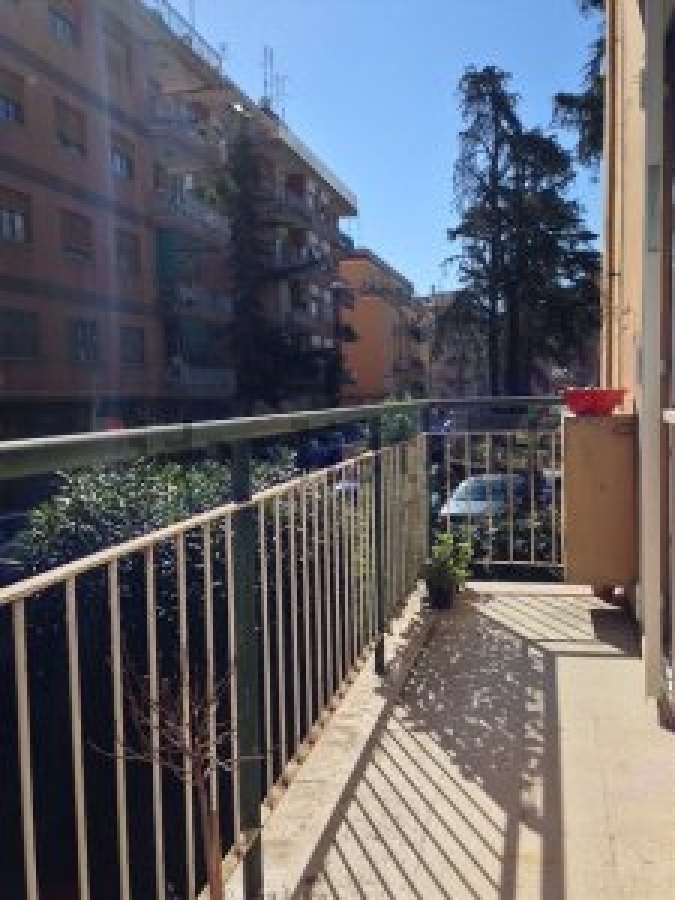 Appartamento Via Zuccoli  - foto 8
