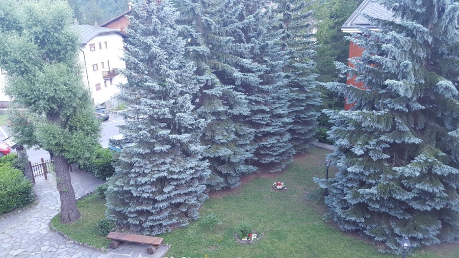 Appartamento Viale San Francesco 8  - foto 10
