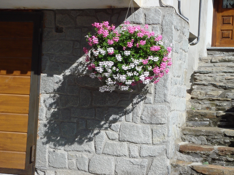 Appartamento PONTBOSET LA PLACE  - foto 3