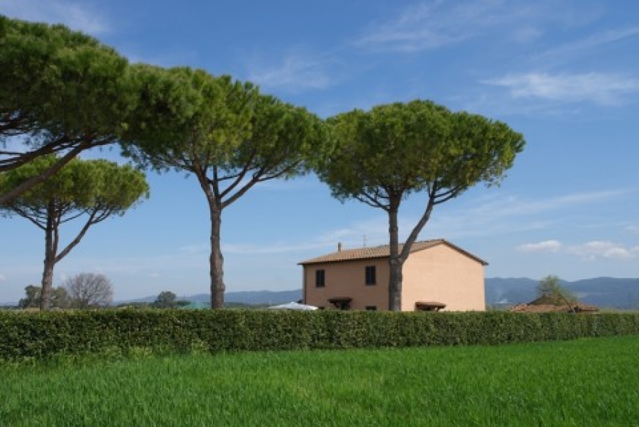Appartamento loc. badia  - foto 2