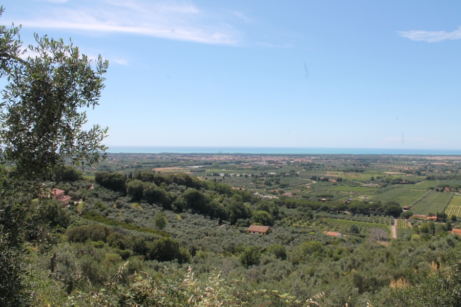 Appartamento via segalari  - foto 18