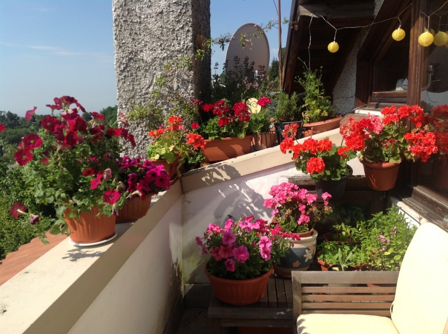 Appartamento Monte di Nese  loading=