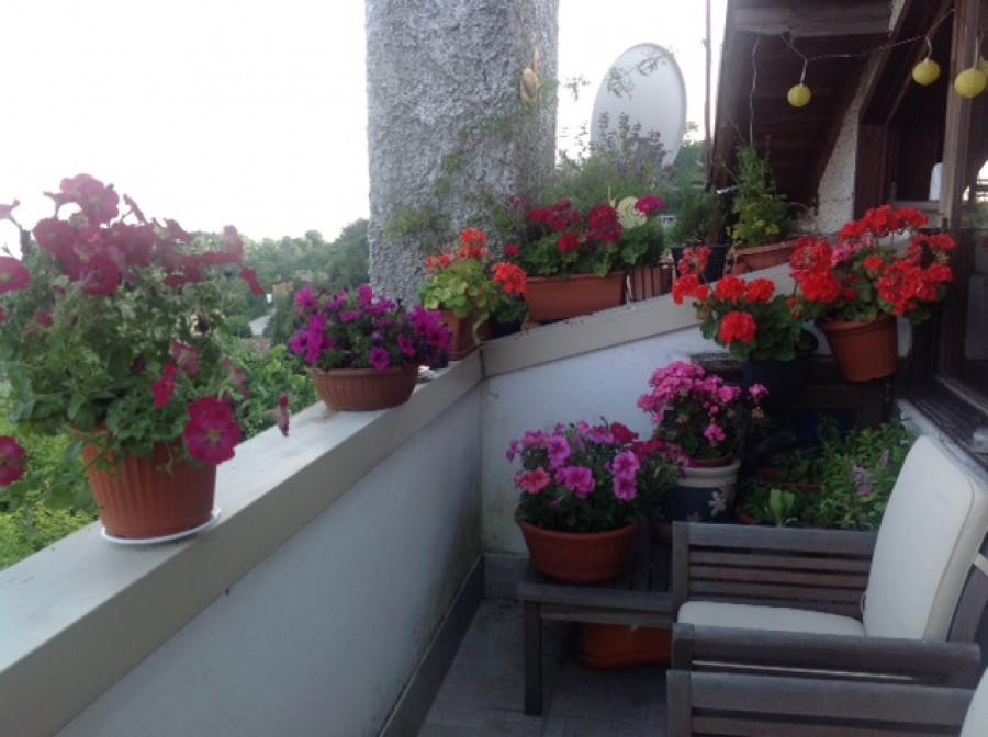 Appartamento Monte di Nese  - foto 7