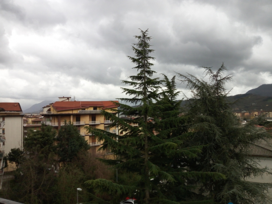 Appartamento Via De Venuta  - foto 10