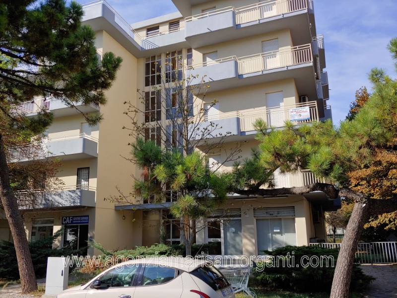 Locale commerciale Viale Virgilio, Lido Adriano, Ravenna RA  - foto 3